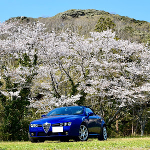 スパイダー 93932S