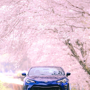86 ZN6