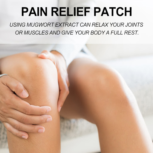 Title 7, Argy Wormwood Pain Relief Patch Body Care Exper...