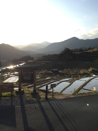 丸山千枚田