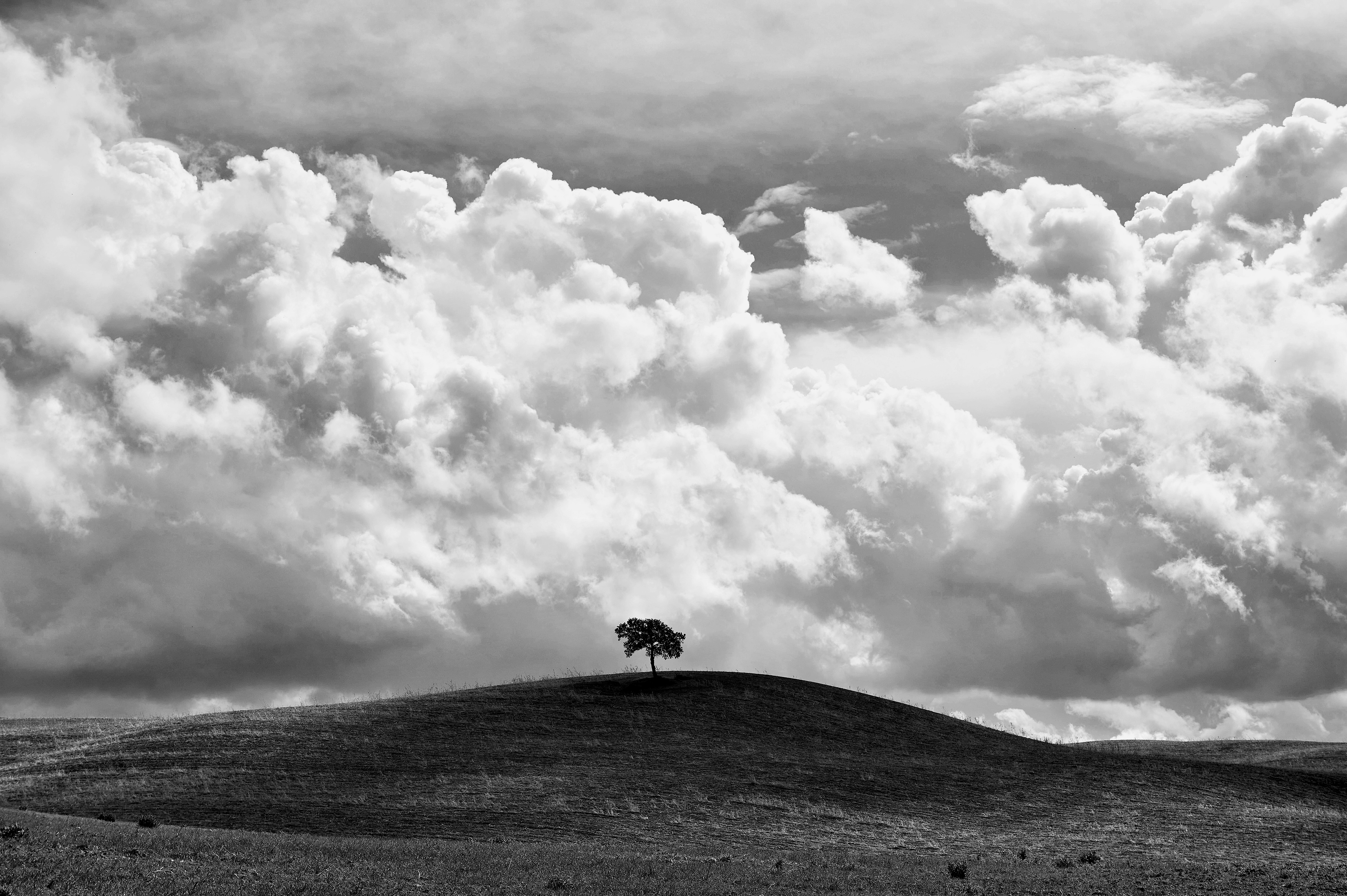 Toscana di Claudiodella