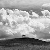 Toscana di Claudiodella