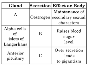 Human Endocrine Glands