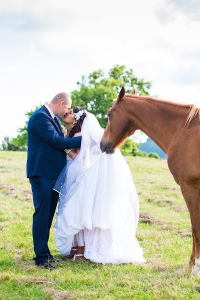 Fotógrafo de casamento Elmine Botha (elminebotha). Foto de 21 de maio 2016