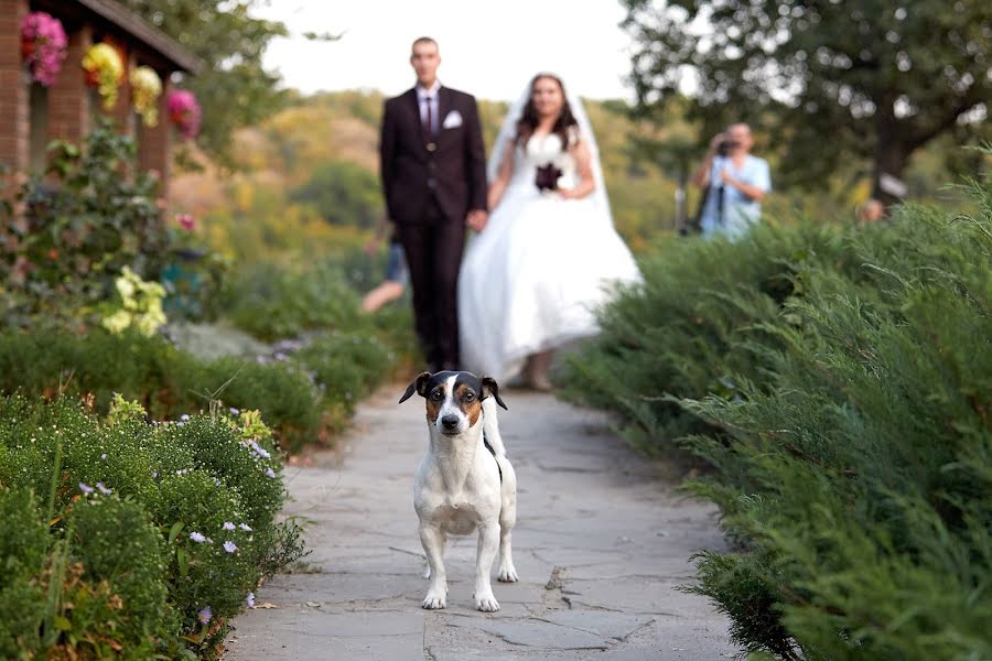 Fotografo di matrimoni Andrey Reutin (id53515110). Foto del 28 settembre 2019