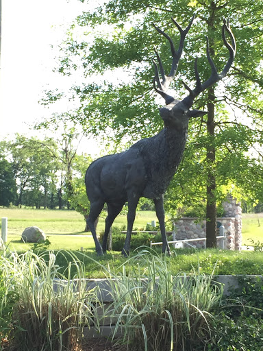 Elk Sculpture 