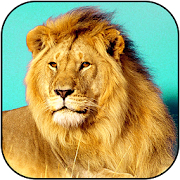 Jungle King: Real Lion Sim  Icon