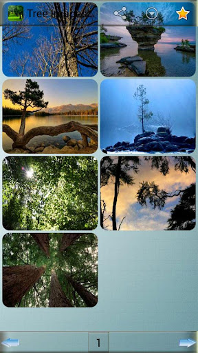玩娛樂App|ツリー画像と背景免費|APP試玩