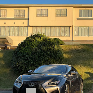 RC F USC10