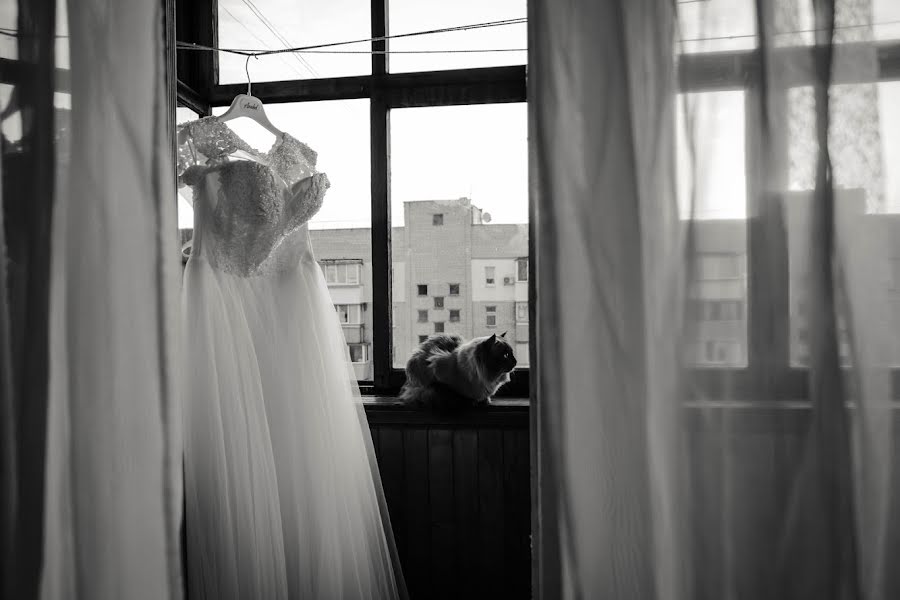 Bröllopsfotograf Mariam Levickaya (levitskaya). Foto av 25 oktober 2019