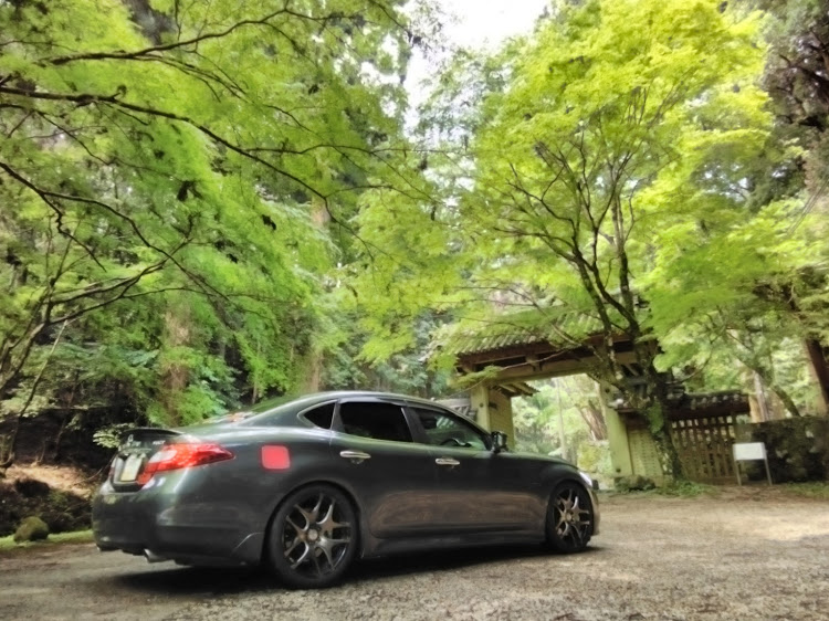 フーガ 51の新緑と愛車・奈良県桜井市・談山神社⛩️東大門前・新緑が映える場所・6月1日(土)早朝に関するカスタム事例の投稿画像4枚目