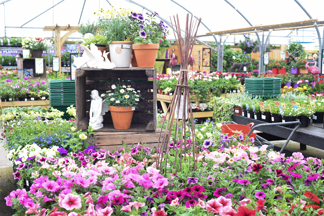 Tenterden Garden Centre - Tenterden, Kent