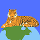 Download Tiger Meteorite For PC Windows and Mac 1.0.0.0