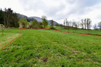 terrain à Saint-Martin-en-Vercors (26)