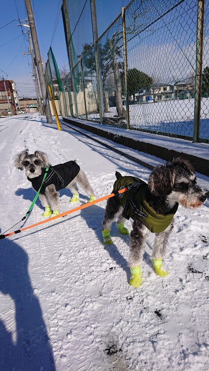 RXの#LMG・アンダーカバー破損・散歩始め・T&T FORGED・22インチ ピレリ ウインタスコーピオンに関するカスタム事例の投稿画像8枚目