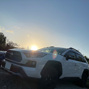 RAV4 MXAA54