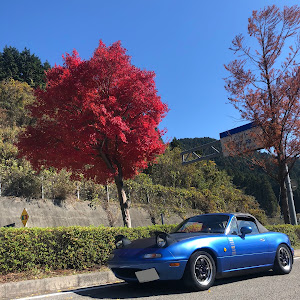 ロードスター NA8C