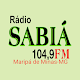 Download Rádio Sabiá FM 104,9 For PC Windows and Mac 2.0.2