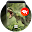 Dinosaur Wallpapers | Ultra HD Quality Download on Windows