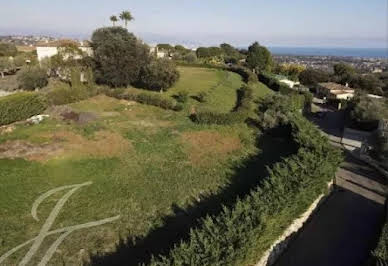 Terrain avec vue panoramique 14