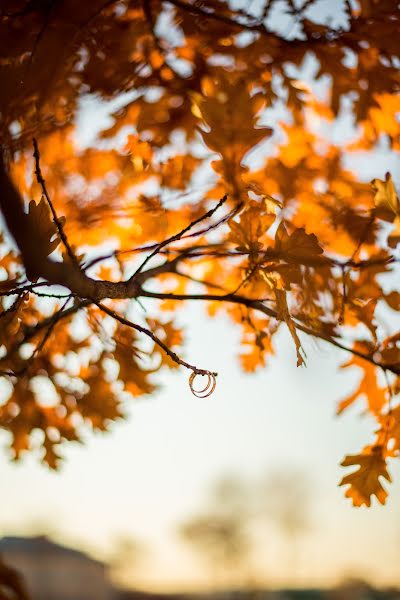 Kāzu fotogrāfs Mariya Karymova (mariakarymova). Fotogrāfija: 3. novembris 2015