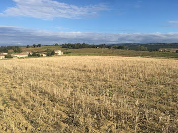 terrain à Castelnaudary (11)