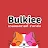 Bulkiee icon