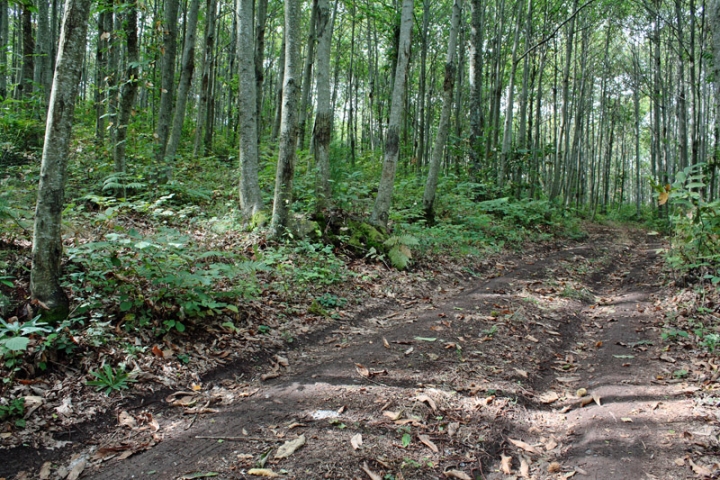 Strada della tranquillita' di micmac