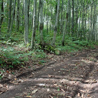 Strada della tranquillita' di 