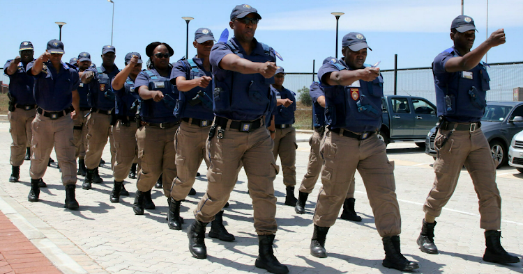 Nelson Mandela Bay metro police officers in action. File picture