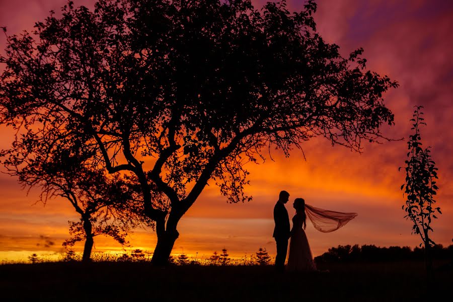 Photographe de mariage Vilnis Slūka (vilnissluka). Photo du 28 décembre 2018