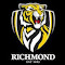 Item logo image for Richmond Tigers Theme