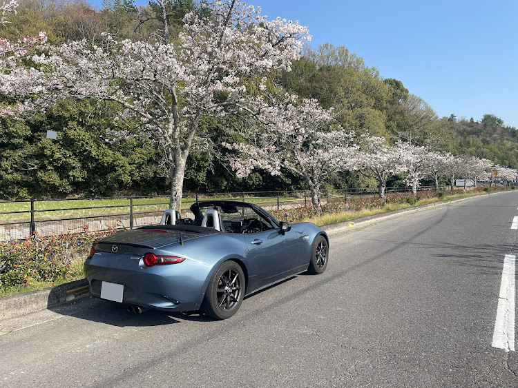 ロードスターの桜と愛車・桜コラボに関するカスタム事例の投稿画像2枚目