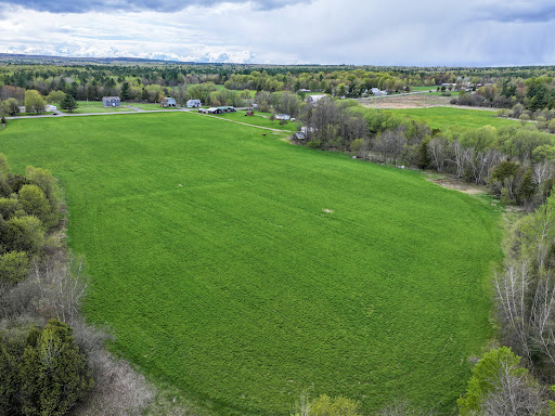 Prestige property for sale in West Chazy (United States) - Green hay field with trees