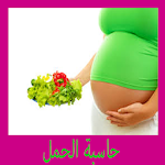 Cover Image of ダウンロード حاسبة الحمل والولادة 1.0 APK