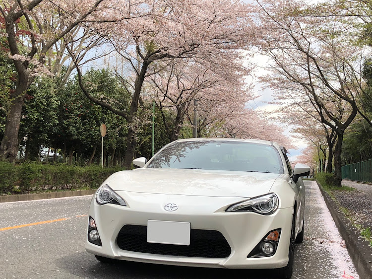 86のお花見・86・ドライブ・千葉県佐倉市に関するカスタム事例の投稿画像1枚目