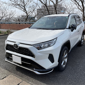 RAV4 MXAA52