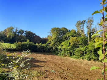 terrain à Frouard (54)