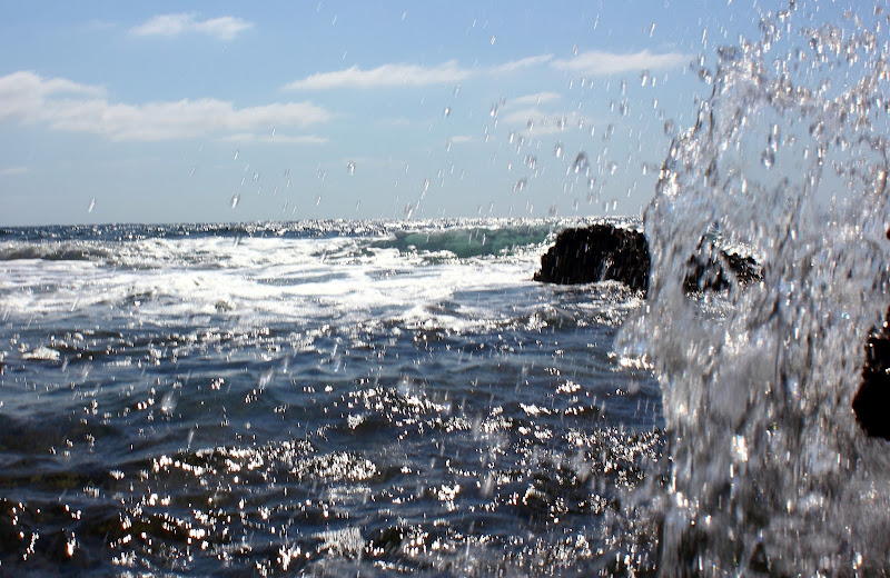 Schizzi d'acqua di ariosa