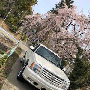 エスカレード