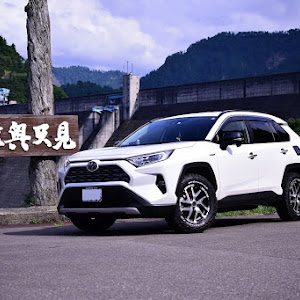 RAV4 AXAH54