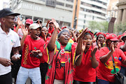 Members of the EFF sing struggle songs outside the the South Gauteng High Court in the Johannesburg CBD. File photo.