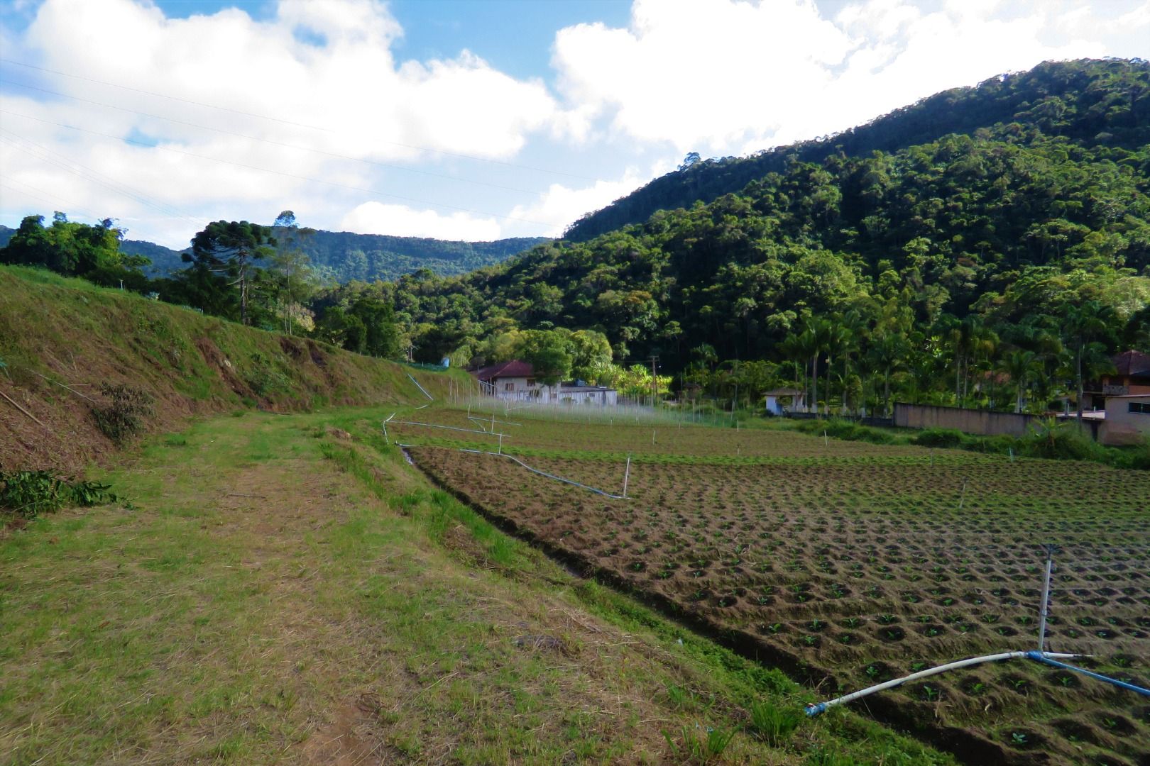 Fazenda / Sítio à venda em Stucky, Nova Friburgo - RJ - Foto 17