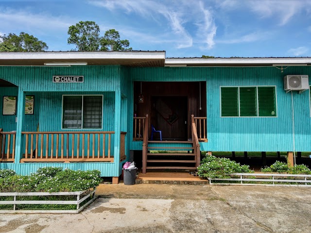 Tawai Rainforest Camp