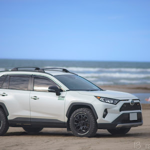 RAV4 MXAA54