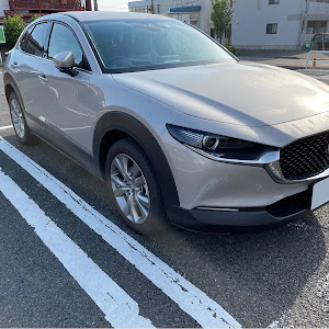 CX-30 DMEP