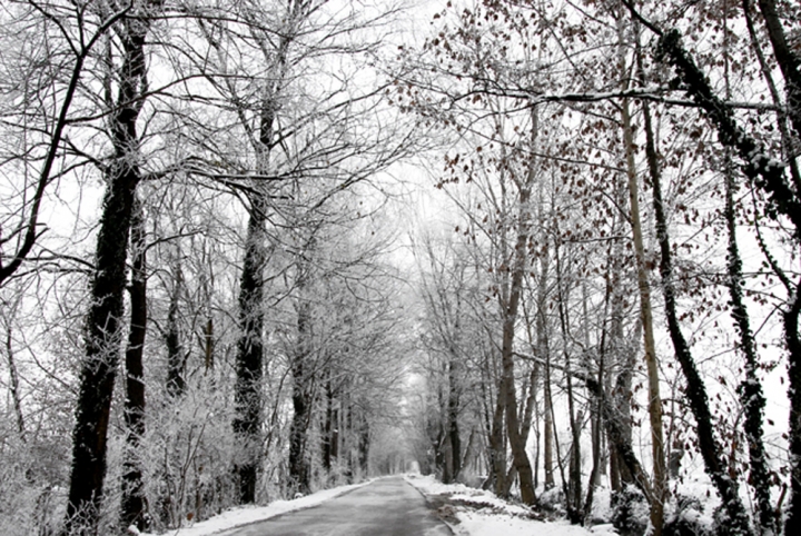 I colori dell'inverno di Alesil