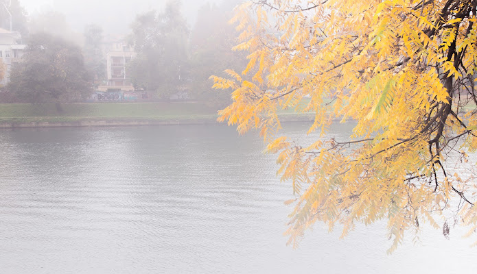 Autunno sul Po di antoniod