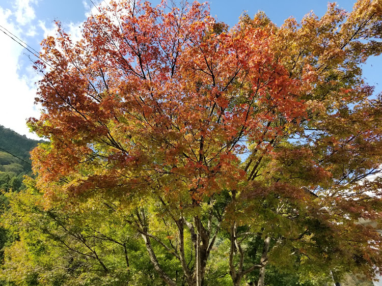 の投稿画像8枚目