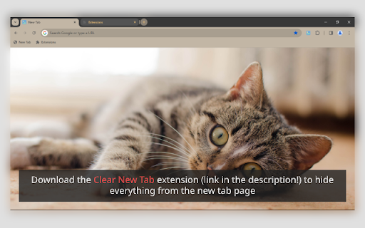 Tabby Cat 1080p Preview 2